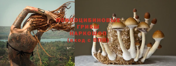СК Дмитровск