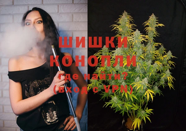 ПСИЛОЦИБИНОВЫЕ ГРИБЫ Дмитров