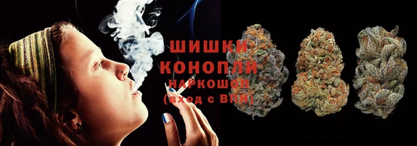 ПСИЛОЦИБИНОВЫЕ ГРИБЫ Дмитров