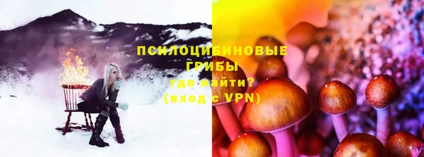 ПСИЛОЦИБИНОВЫЕ ГРИБЫ Дмитров
