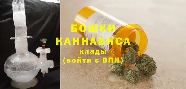 ПСИЛОЦИБИНОВЫЕ ГРИБЫ Дмитров
