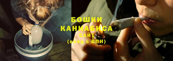 меф Дмитриев