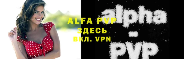 меф Дмитриев