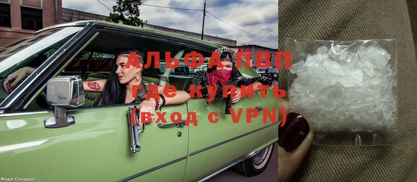 СК Дмитровск